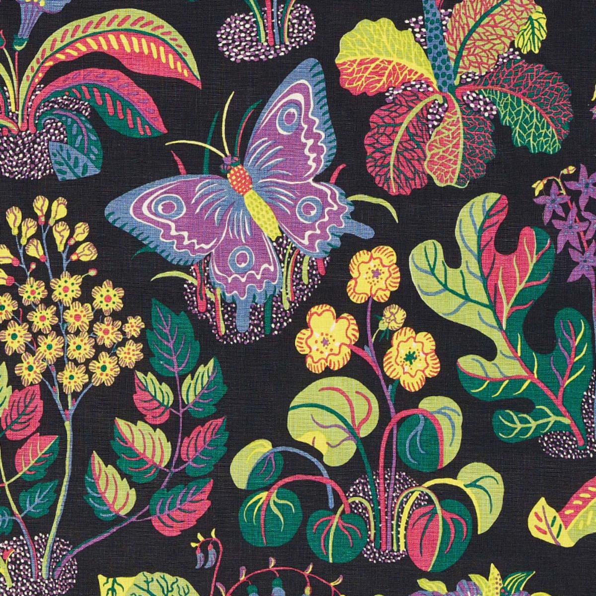 EXOTIC BUTTERFLY_BLACK