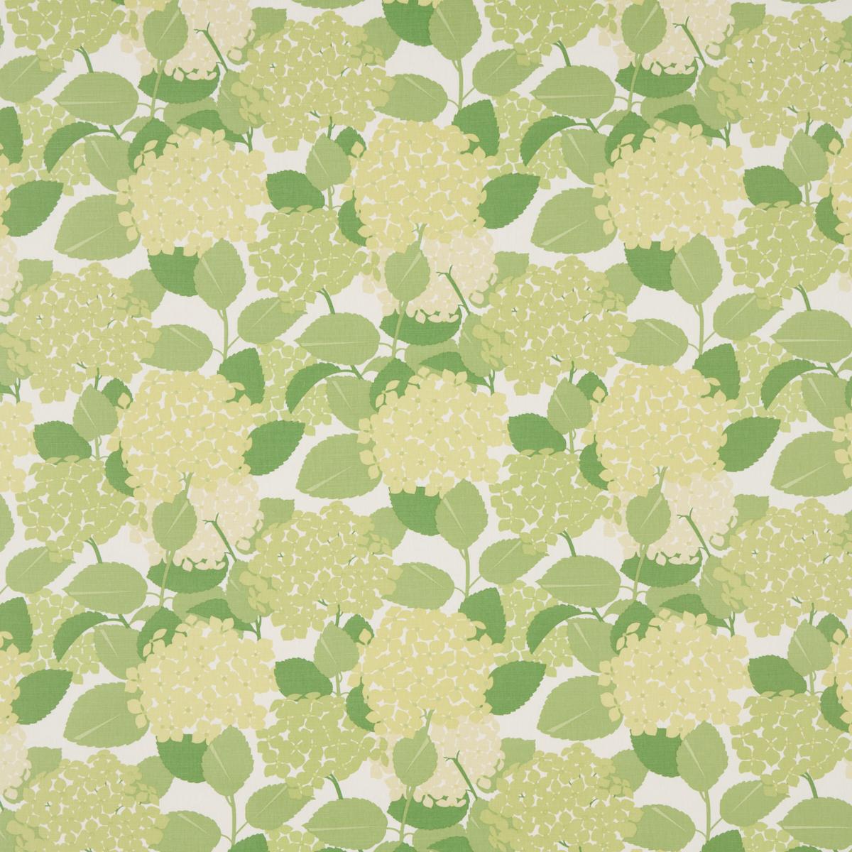 【 】 Golden Summer　花柄　2枚 Hydrangea - Green Fabrics | Schumacher