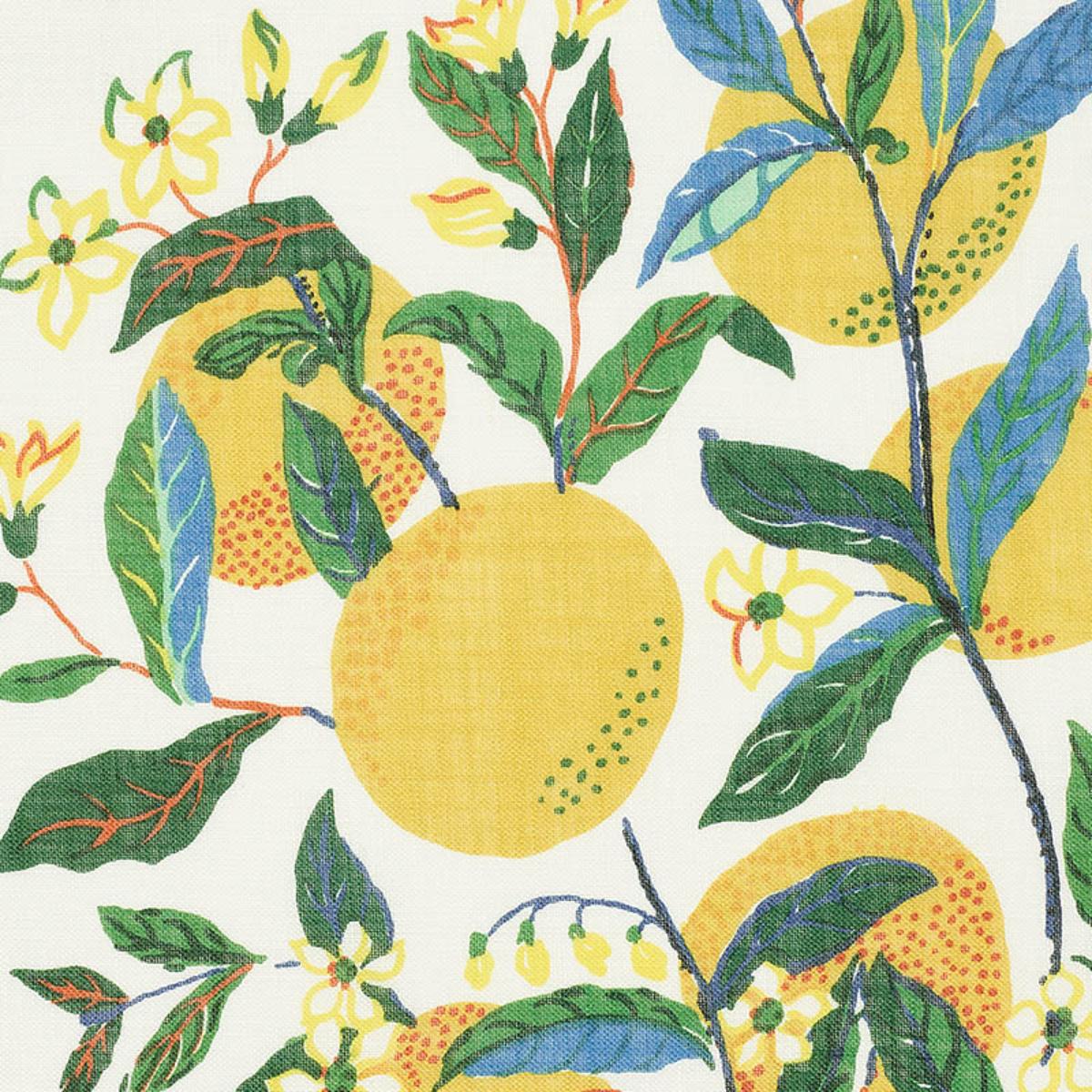Sugarページ(Juli Garden) Schumacher Citrus Garden Panel Set Primary Wallpaper