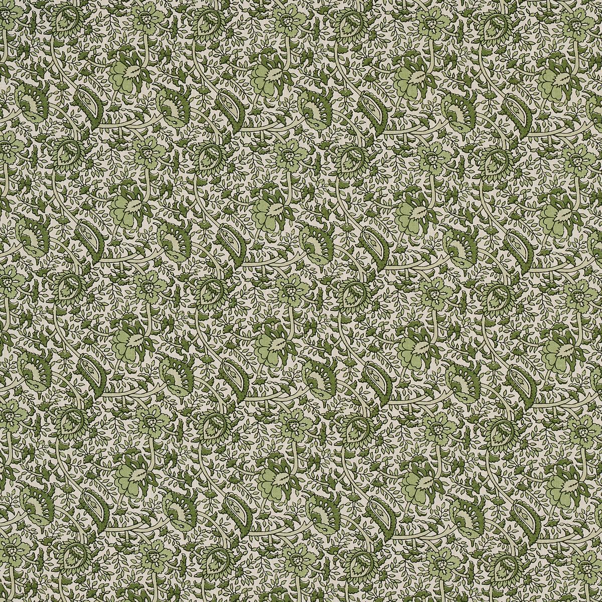Daisy Indoor/Outdoor - Leaf Green Fabrics | Schumacher