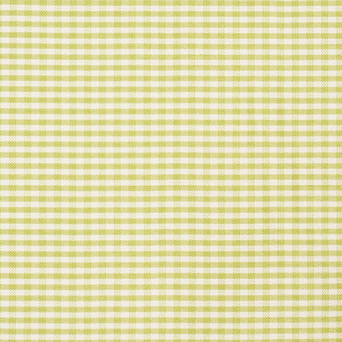 【OHOTORO】Heritage Gingham Duck Down heritage gingham duck down | OHOTORO