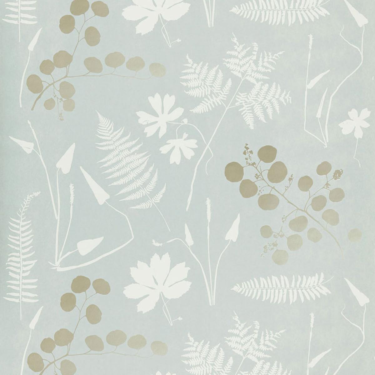 Modern Botanical - Slate Wallpapers | Schumacher