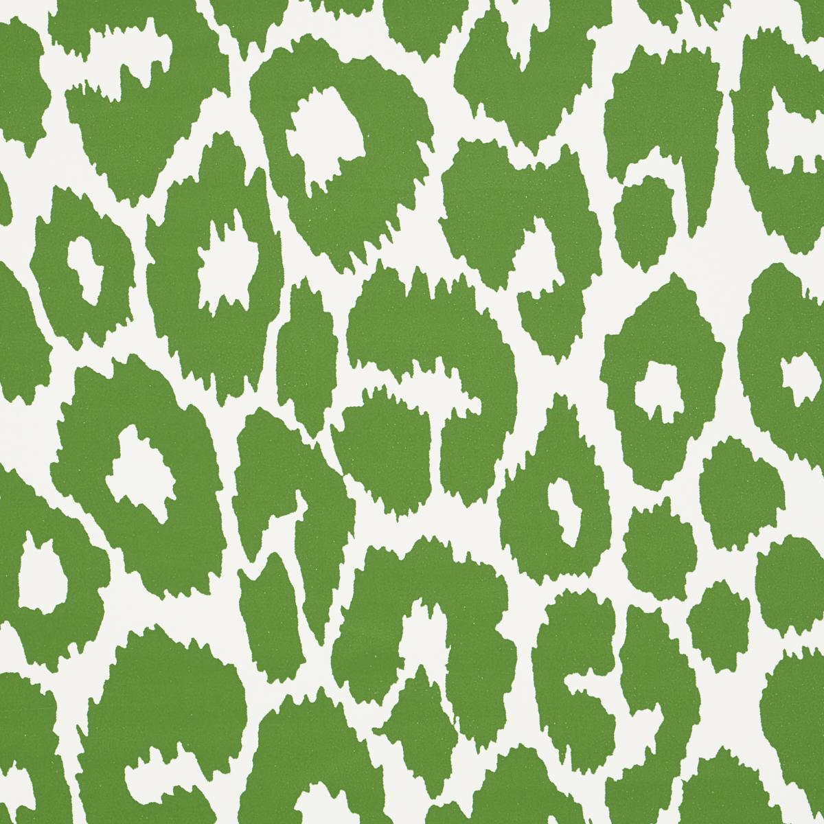 『 Green Leopard fam 』by Zuberi 60*60cm 410+ Green Leopard Plant Stock Photos, Pictures & Royalty