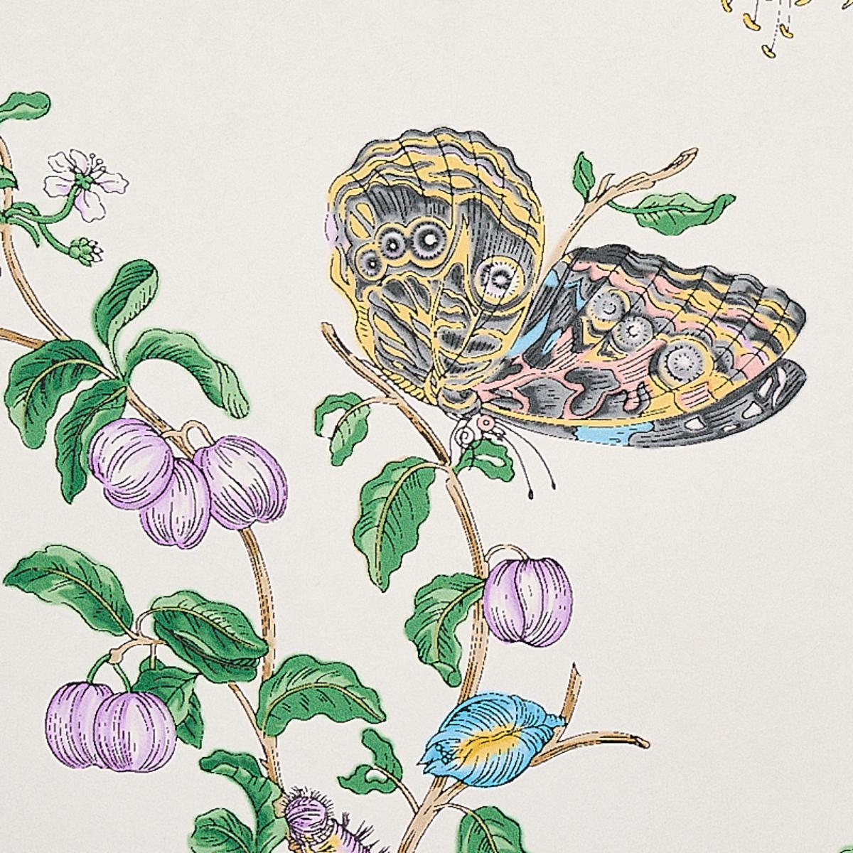 Baudin Butterfly - Turquoise Wallpapers | Schumacher