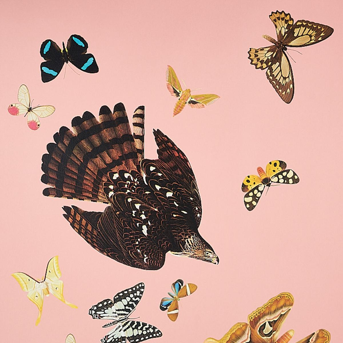 Queen's Flight Panel Set - Pink Wallpapers | Schumacher