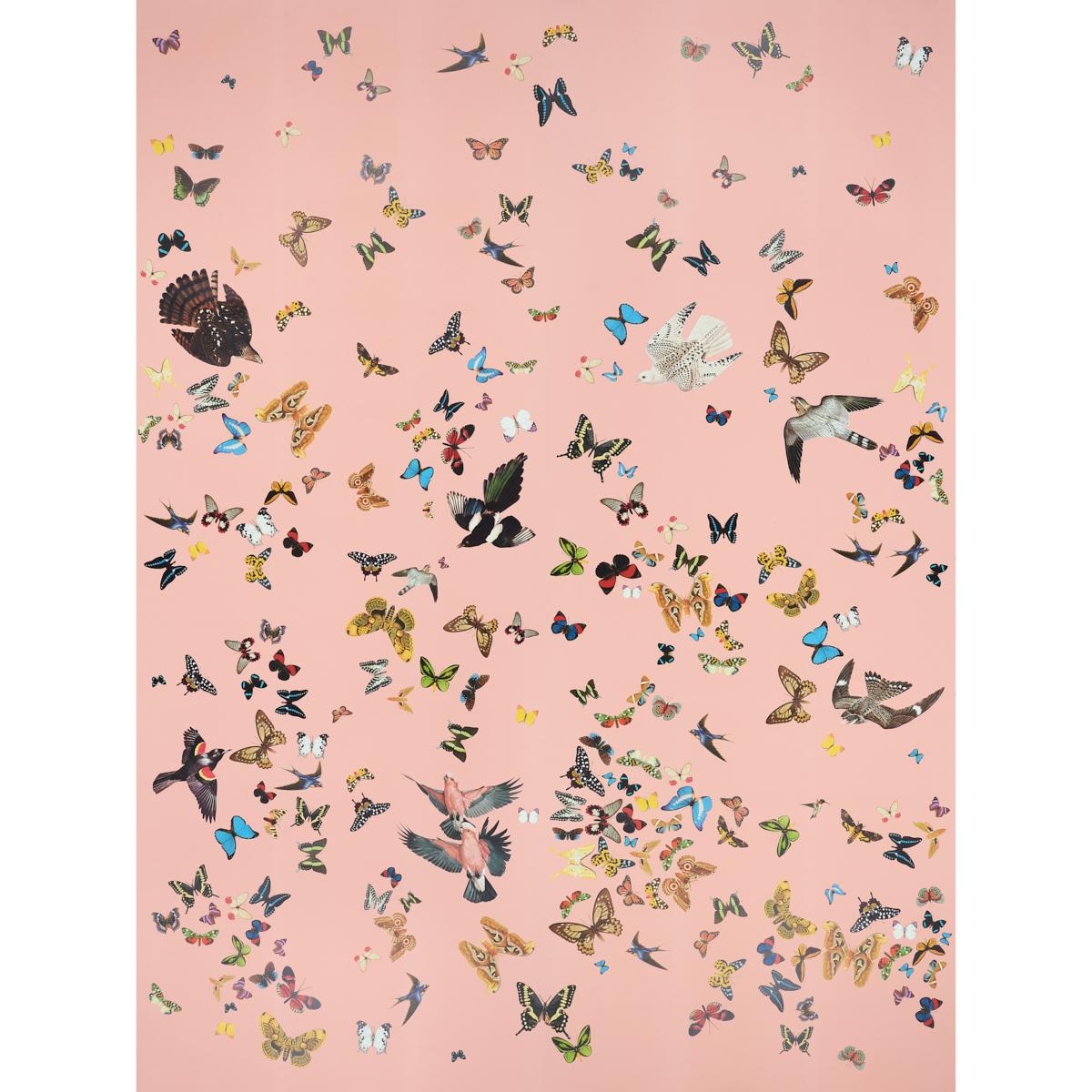 Queen's Flight Panel Set - Pink Wallpapers | Schumacher