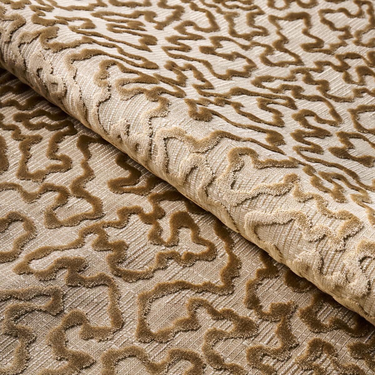 Janis Velvet - Champagne Fabrics | Schumacher