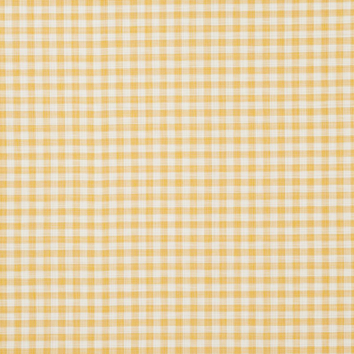 Martina Plaid Indoor/Outdoor - Yellow Fabrics | Schumacher