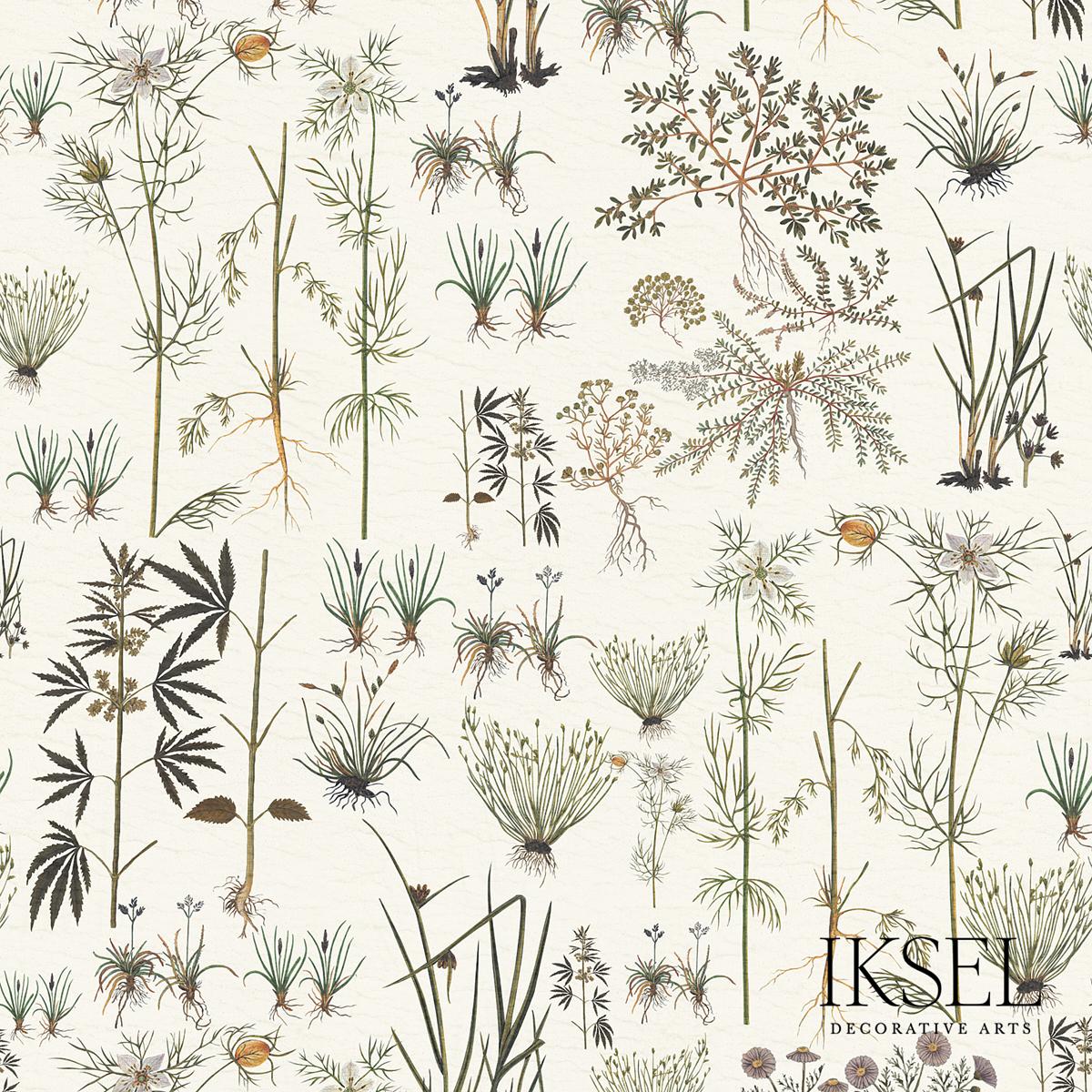 Herbier - White Wallpapers | Schumacher