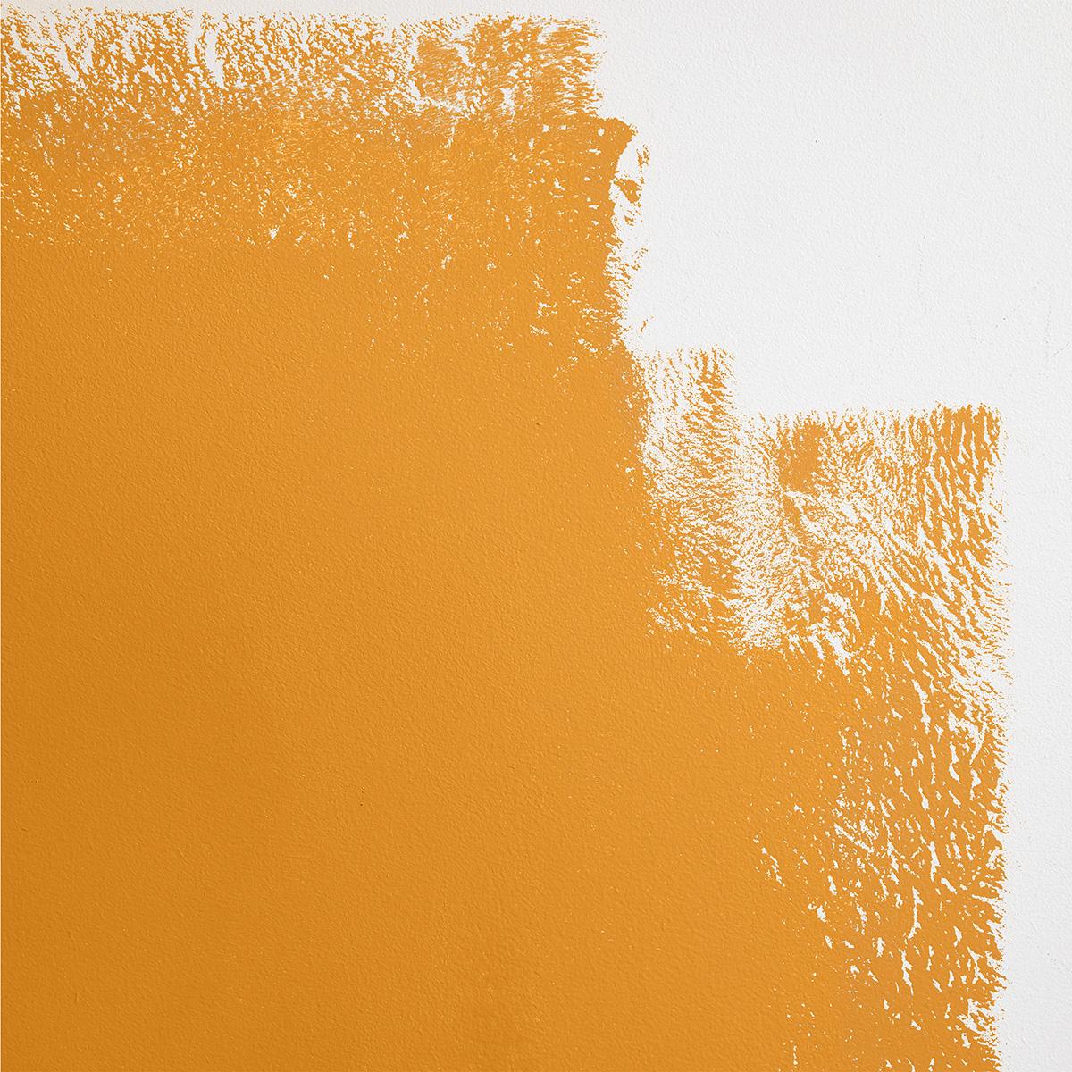 Color Of The Year - Yellow-Orange Paint | Schumacher