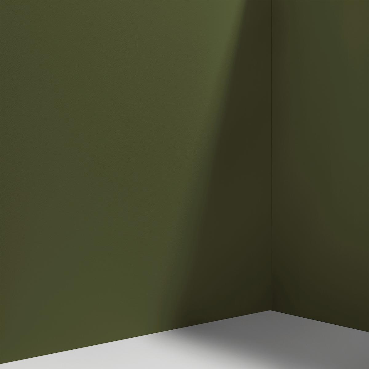 Night On Earth - Dark Olive Green Paint | Schumacher