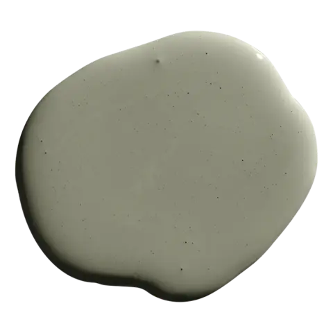Saged Paint - Muted Olive Green