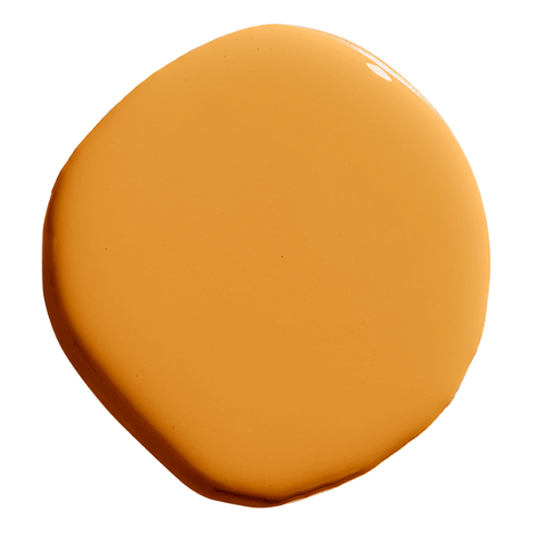 Color Of The Year