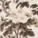 PYNE HOLLYHOCK_CHARCOAL