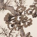 PYNE HOLLYHOCK_CHARCOAL