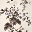 PYNE HOLLYHOCK_CHARCOAL