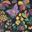 EXOTIC BUTTERFLY_BLACK